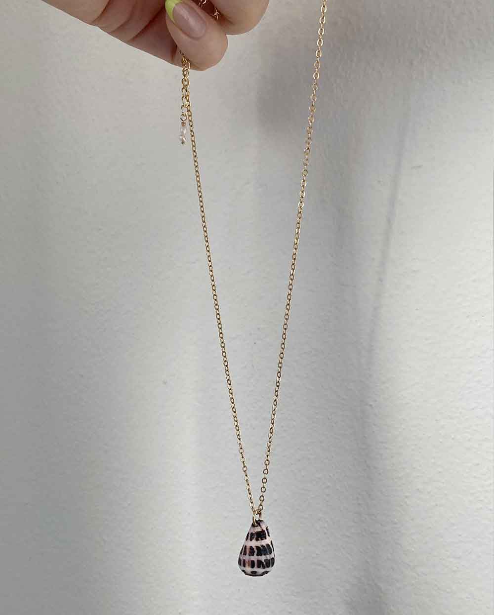 Hebrew Shell Necklace 14k Gold Filled