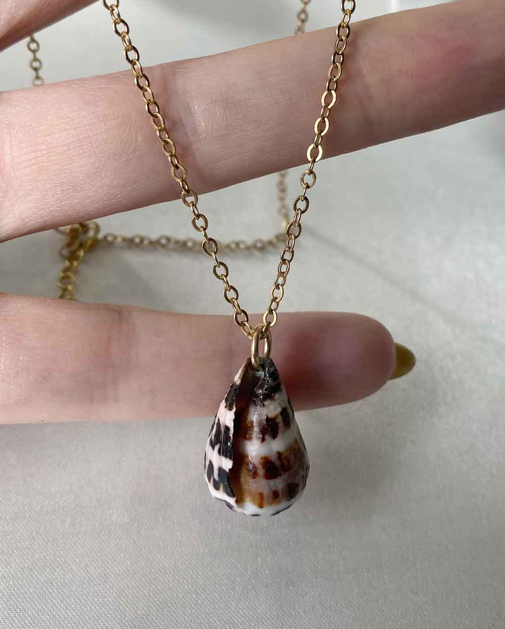 Hebrew Shell Necklace 14k Gold Filled