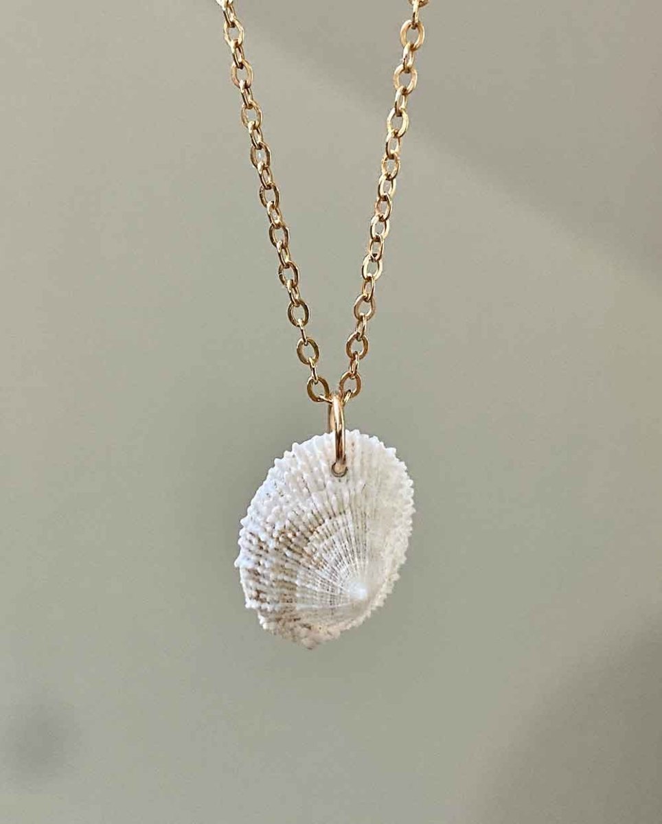 Limpet Shell NecklaceNecklaces14k Gold FilledAngela Wozniak Jewellery