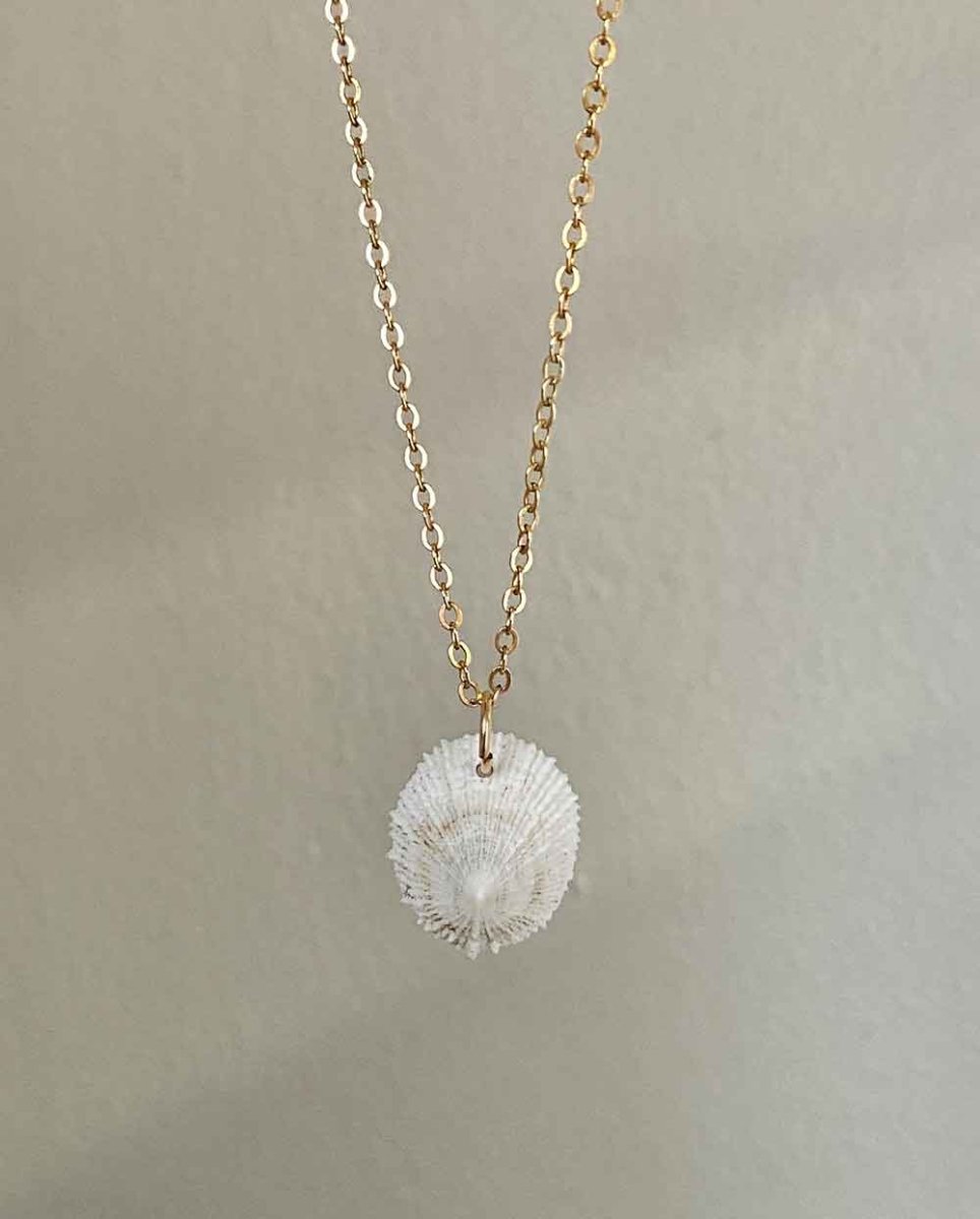 Limpet Shell NecklaceNecklaces14k Gold FilledAngela Wozniak Jewellery