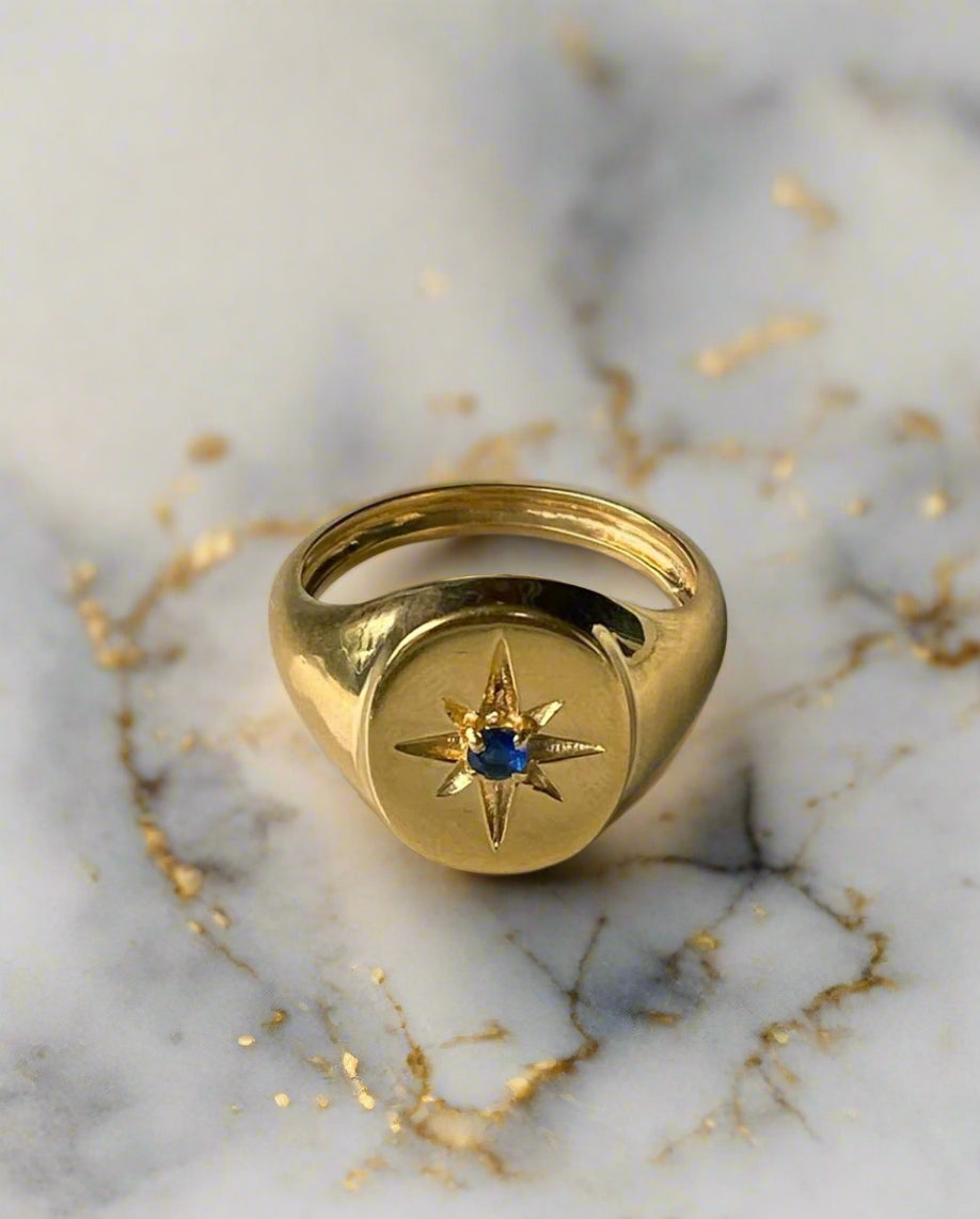 Midnight Star Signet RingRings14K Gold VermeilAngela Wozniak Jewellery
