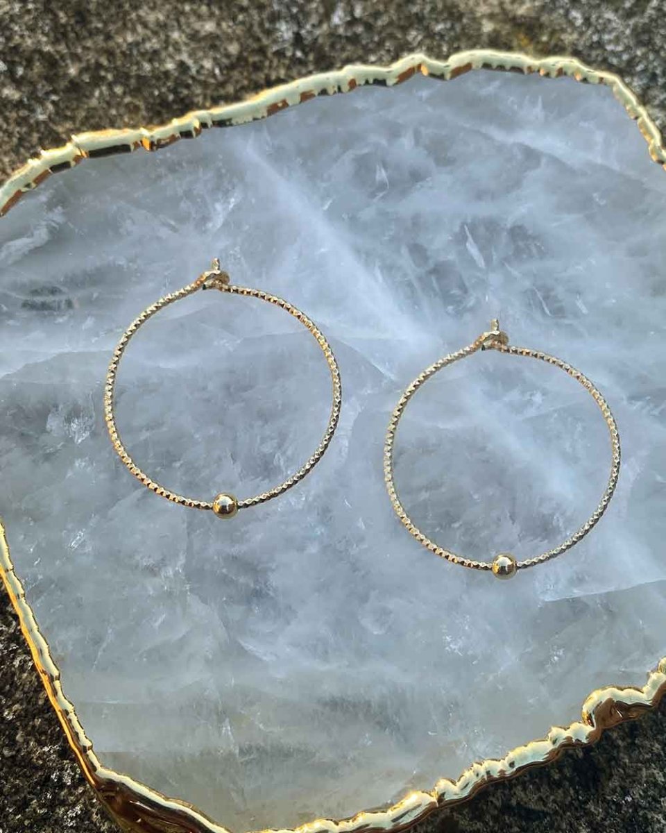 Sparkle Hoop EarringsEarrings14K Gold FilledAngela Wozniak Jewellery